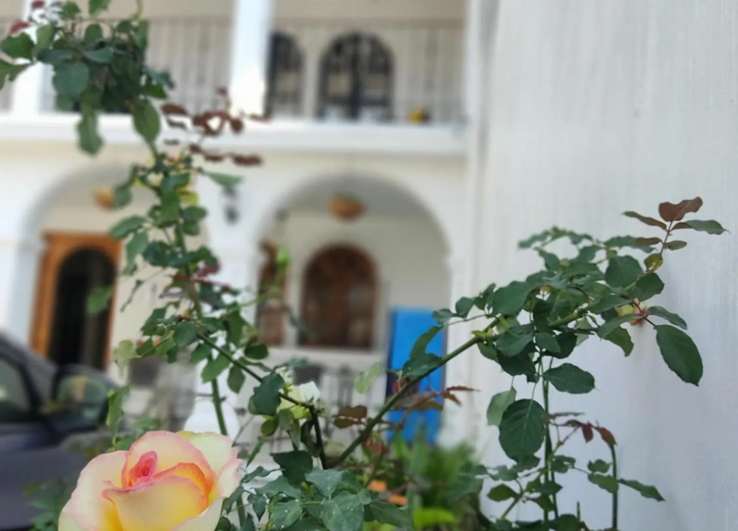 Maison d'hôtes Blue Moon Hostel Antigua