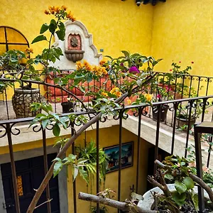 Maison Bougainvillea Hostel